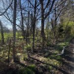 Property photo for land for sale in Grainger County Tennessee