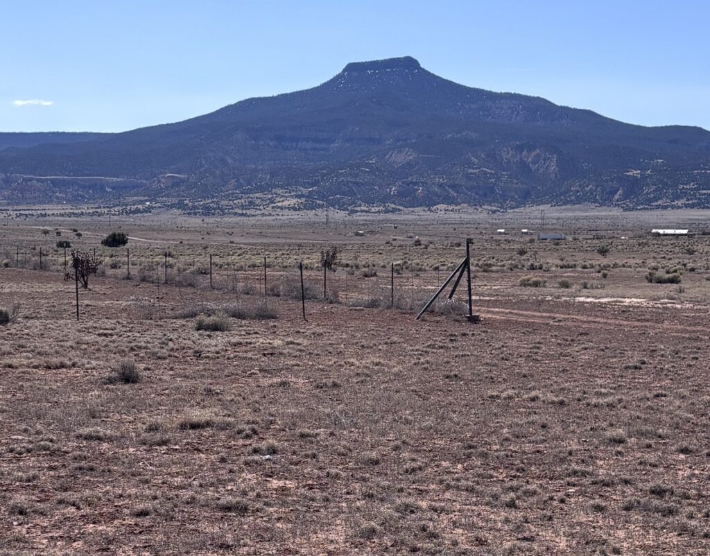 Property photo for land for sale in Rio Arriba County New Mexico