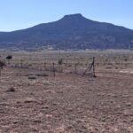Property photo for land for sale in Rio Arriba County New Mexico