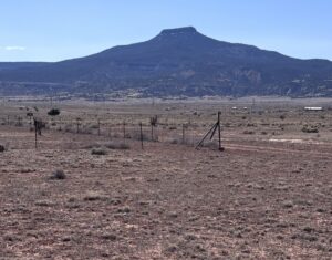 Property photo for land for sale in Rio Arriba County New Mexico