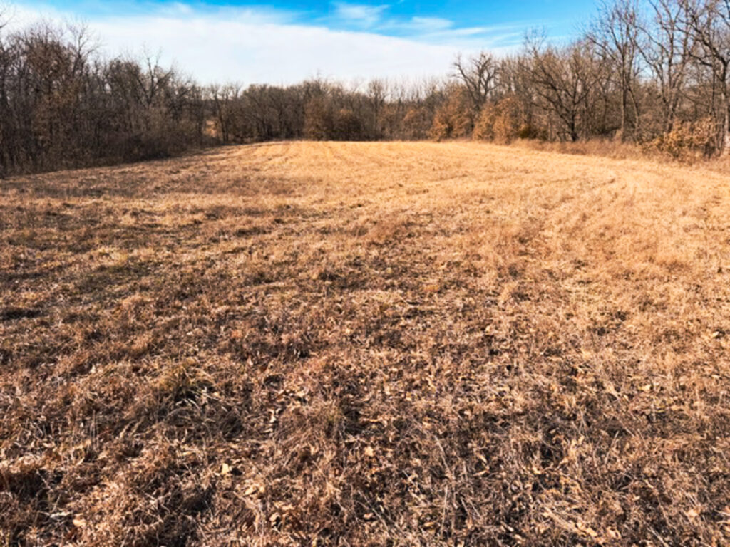 Property photo for land for sale in Daviess County Missouri
