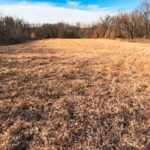Property photo for land for sale in Daviess County Missouri