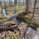 Property photo for land for sale in Williamson County Tennessee
