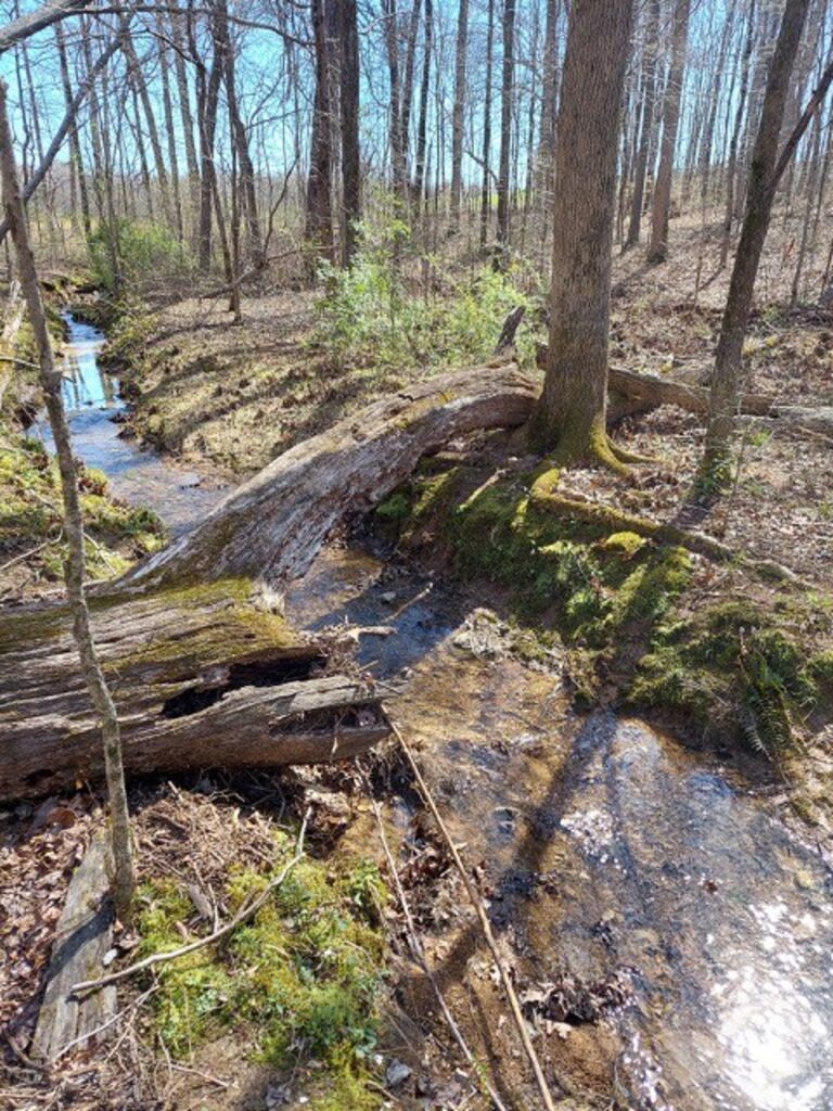 Property photo for land for sale in Williamson County Tennessee