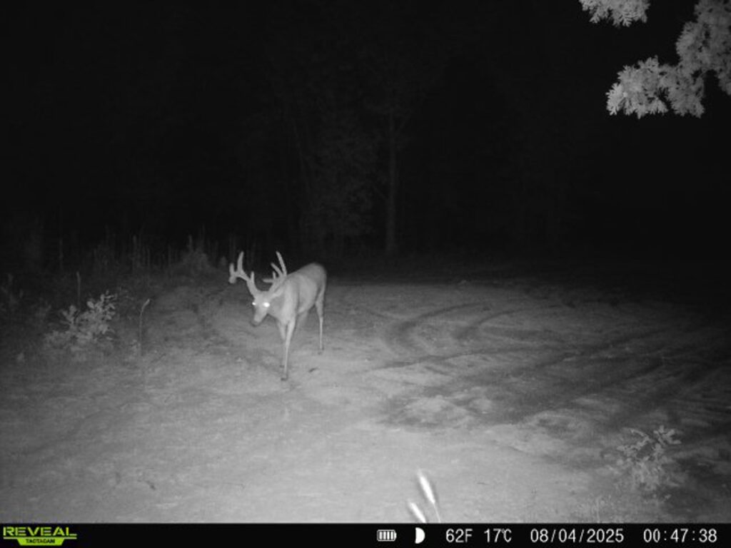 Property photo for land for sale in Sullivan County Missouri