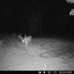 Property photo for land for sale in Sullivan County Missouri