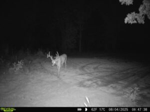 Property photo for land for sale in Sullivan County Missouri