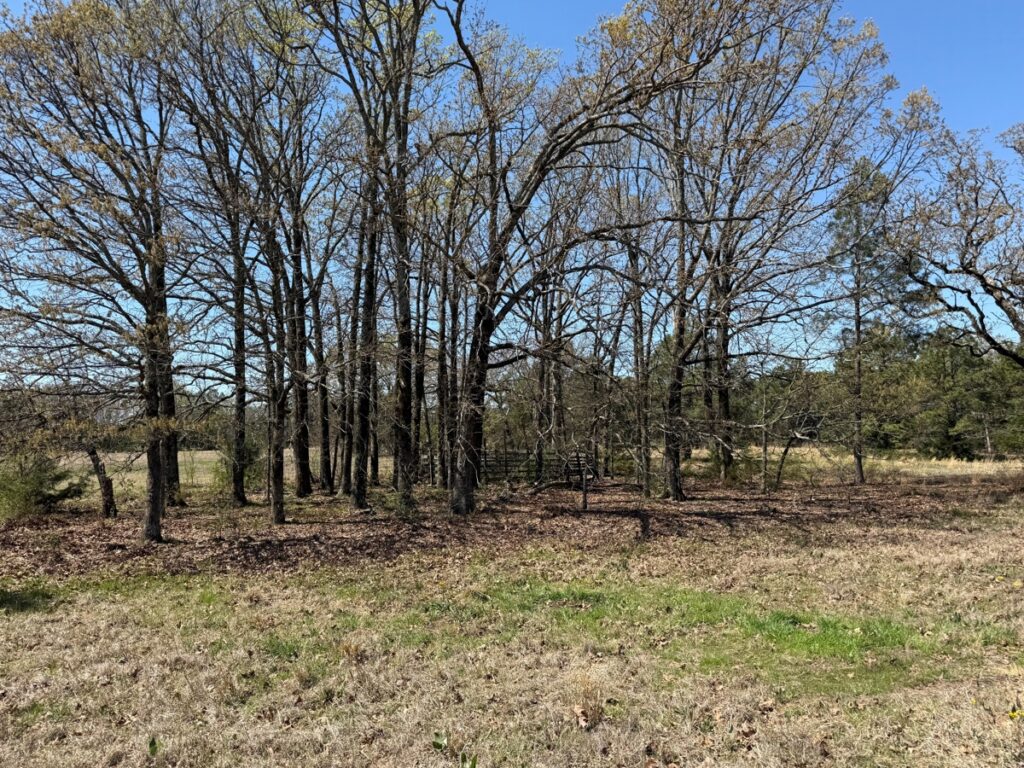 Property photo for land for sale in Red River County Texas