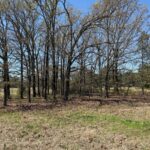 Property photo for land for sale in Red River County Texas
