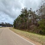 Property photo for land for sale in Alcorn County Mississippi