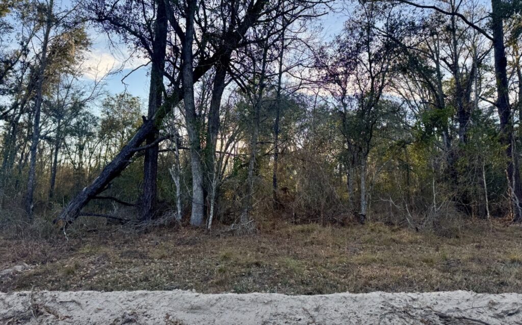 Property photo for land for sale in Hamilton County Florida