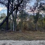 Property photo for land for sale in Hamilton County Florida