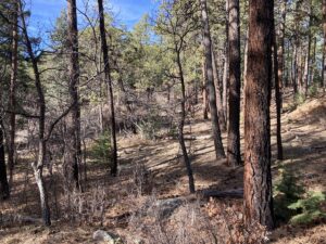 Property photo for land for sale in Rio Arriba County New Mexico