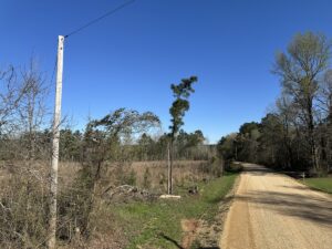 Property photo for land for sale in Bradley County Arkansas
