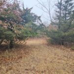 Property photo for land for sale in Putnam County Missouri