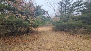 Property photo for land for sale in Putnam County Missouri