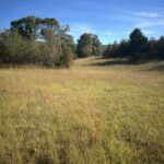 Property photo for land for sale in Pushmataha County Oklahoma