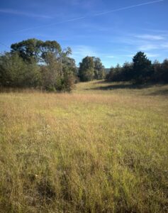 Property photo for land for sale in Pushmataha County Oklahoma