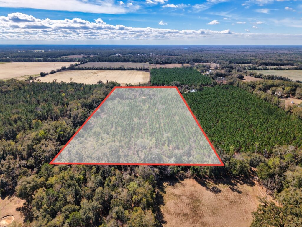 Property photo for land for sale in Gilchrist County Florida