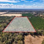 Property photo for land for sale in Gilchrist County Florida
