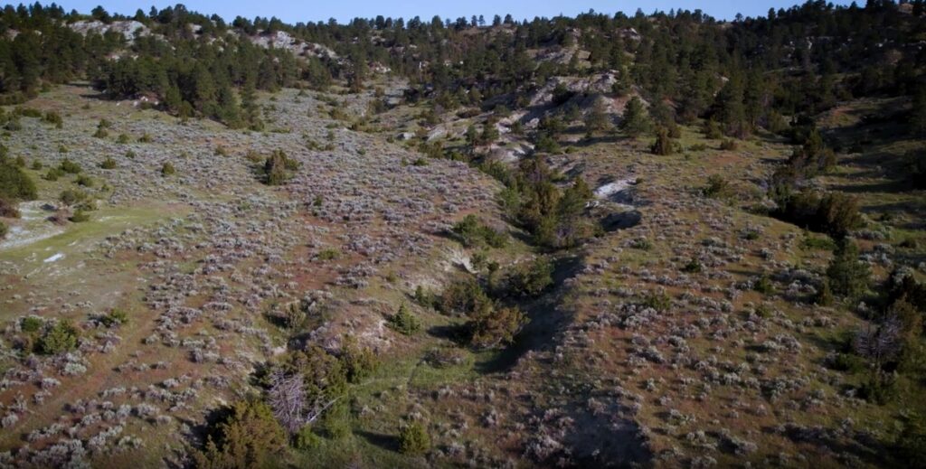 Property photo for land for sale in Yellowstone County Montana