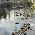 Property photo for land for sale in Hamilton County Florida