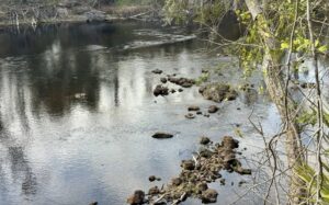 Property photo for land for sale in Hamilton County Florida