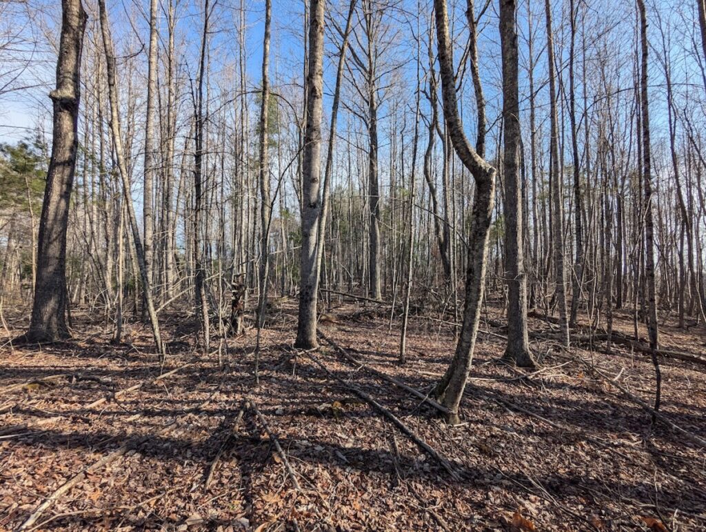 Property photo for land for sale in Floyd County Virginia