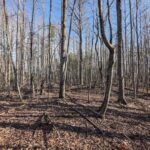 Property photo for land for sale in Floyd County Virginia