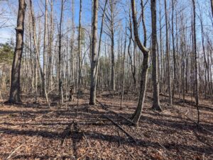 Property photo for land for sale in Floyd County Virginia