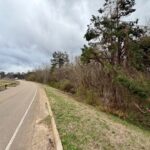 Property photo for land for sale in Alcorn County Mississippi