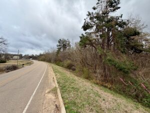 Property photo for land for sale in Alcorn County Mississippi
