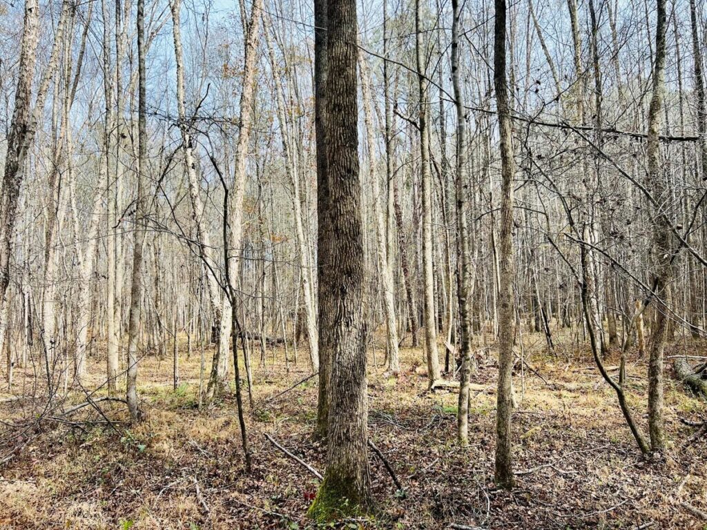 31d33ec7-dae6-4142-a8ea-53281aa7e28b