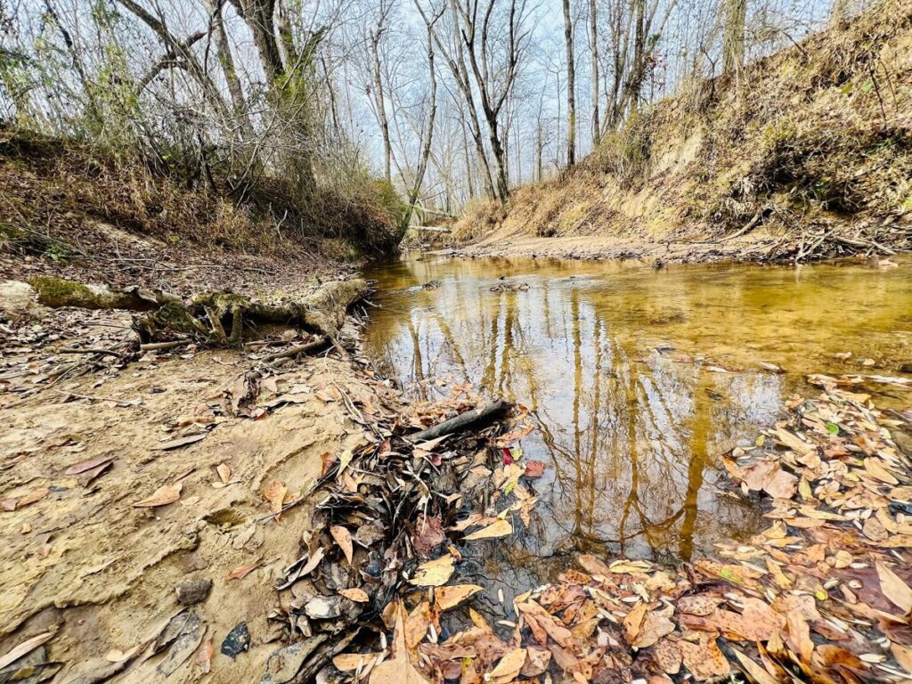 3205cc20-3b56-40c0-9b14-9bba6f8e5c5e