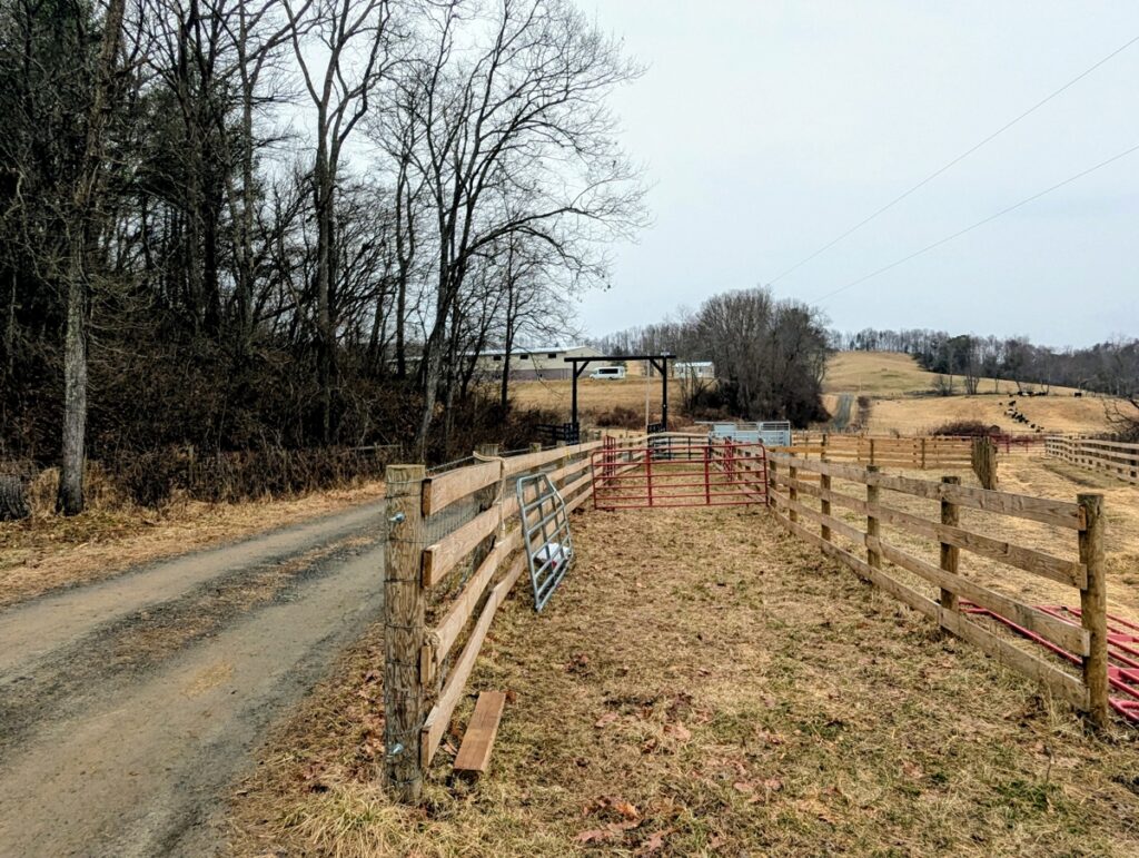 336ca711-5301-46f4-9e95-ee19ab75a0f0