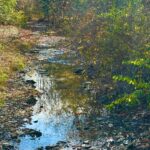 Property photo for land for sale in Casey County Kentucky