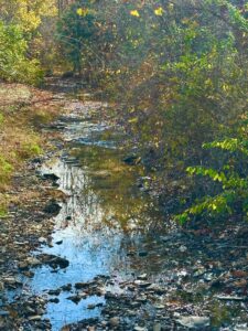 Property photo for land for sale in Casey County Kentucky