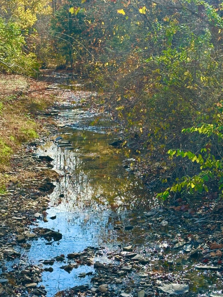 Property photo for land for sale in Casey County Kentucky