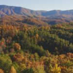 Property photo for land for sale in Cocke County Tennessee