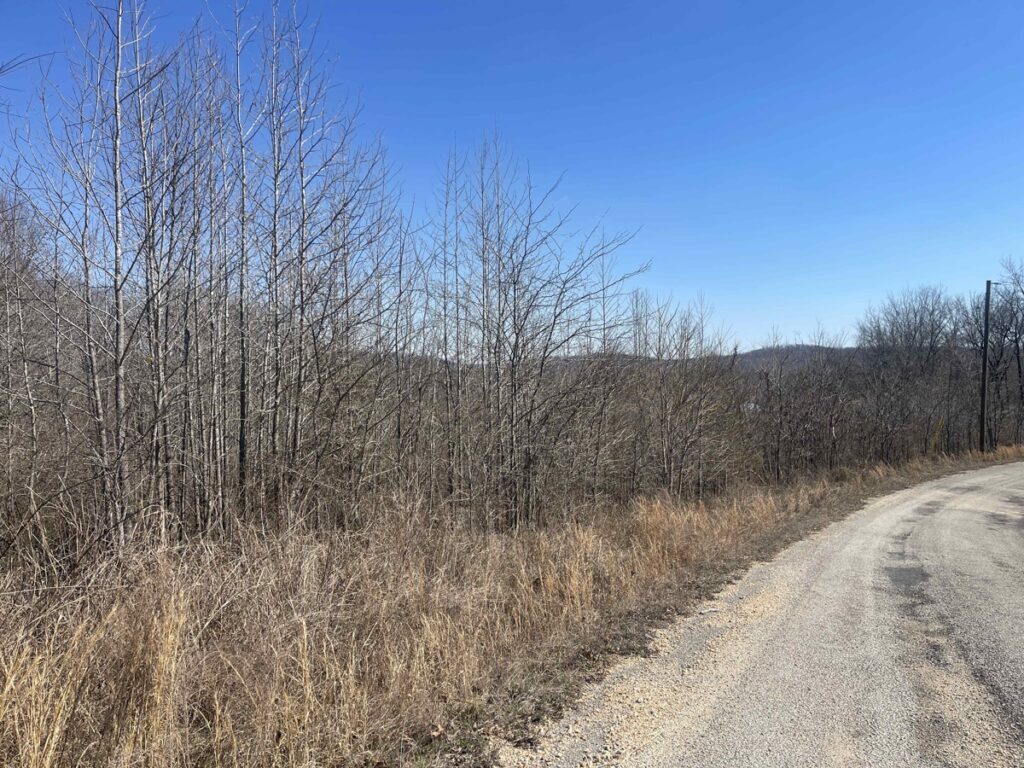 Property photo for land for sale in Wayne County Tennessee