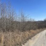 Property photo for land for sale in Wayne County Tennessee