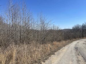 Property photo for land for sale in Wayne County Tennessee