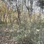 Property photo for land for sale in Harlan County Kentucky