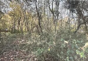 Property photo for land for sale in Harlan County Kentucky