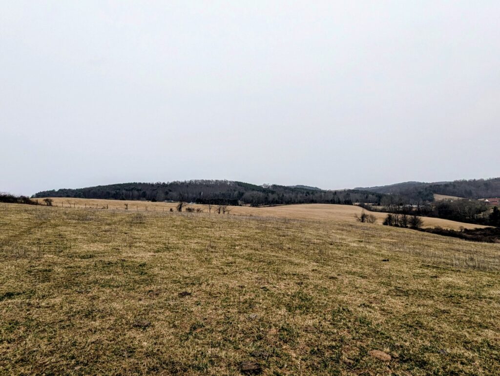 Property photo for land for sale in Carroll County Virginia