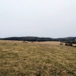 Property photo for land for sale in Carroll County Virginia