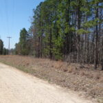 Property photo for land for sale in Shannon County Missouri