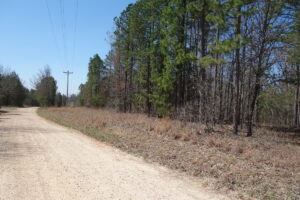 Property photo for land for sale in Shannon County Missouri