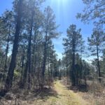 Property photo for land for sale in Ouachita County Arkansas