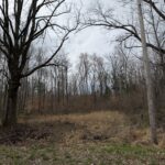 Property photo for land for sale in Benton County Tennessee